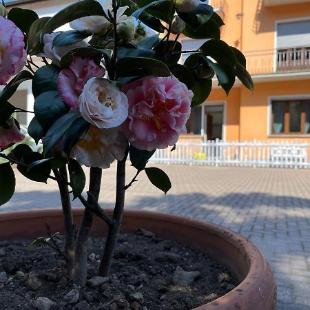 Ca Del Fili Villa Lenno Buitenkant foto