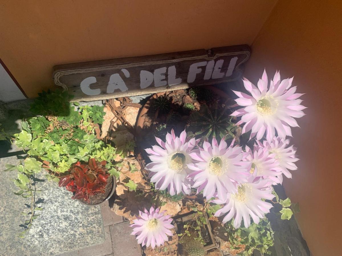 Ca Del Fili Villa Lenno Buitenkant foto